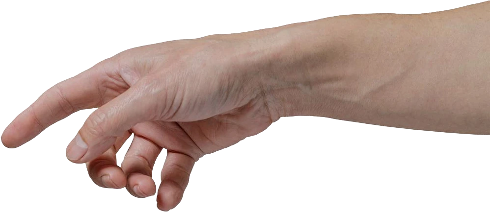 Human Hand